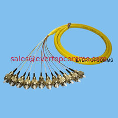 China Bunch Pigtail(FC 12core) supplier