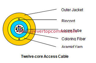 China Twelve-core Access Cable supplier